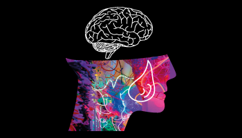 MÓZG. SKĄD SIĘ BIERZE MYŚLENIE?