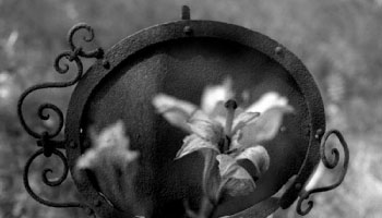 Leszek Żurek pt. „Lutry. Dokument wyobrażony”