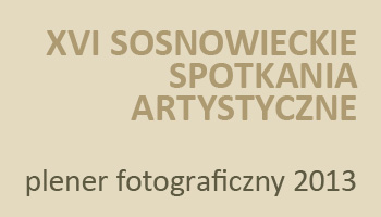 Wernisaż wystawy XVI Sosnowieckie Spotkania Artystyczne Plener Fotograficzny „Miasto. Sacrum profanum”.