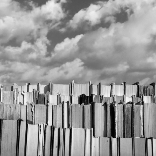 klify kamil myszkowski