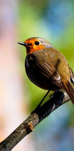 fot. zdzislaw biernas