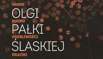 WYSTAWA PT. „MIKRO, MAKRO OSOBLIWOŚCI. GRAFIKI OLGI PAŁKI-ŚLASKIEJ”